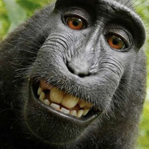 Meet your Posher, Carson